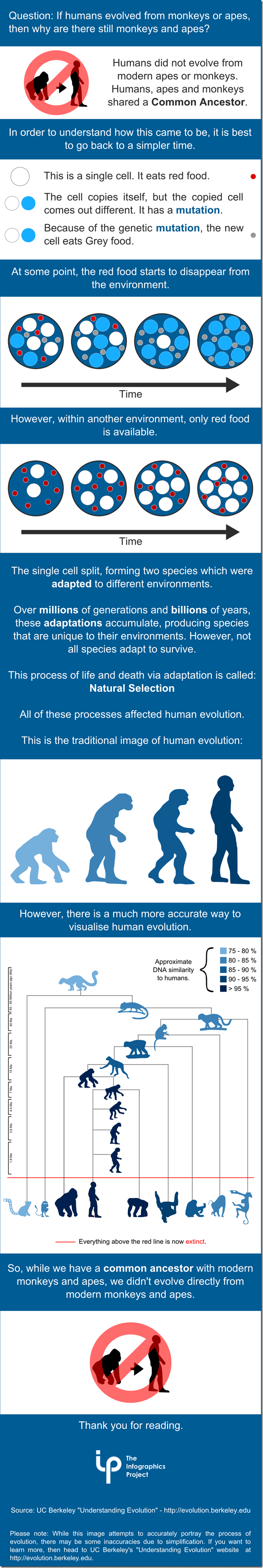v10-534111abc1539ee4c33e5c2815aae6d6