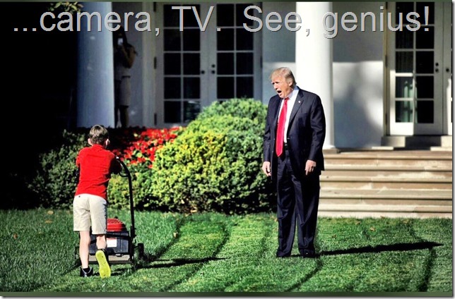 Person, Woman, Man, Camera, TV!